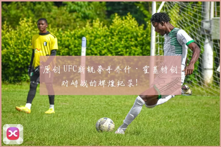 原创 UFC新锐拳手乔什·霍基特创下对峙战的辉煌纪录！