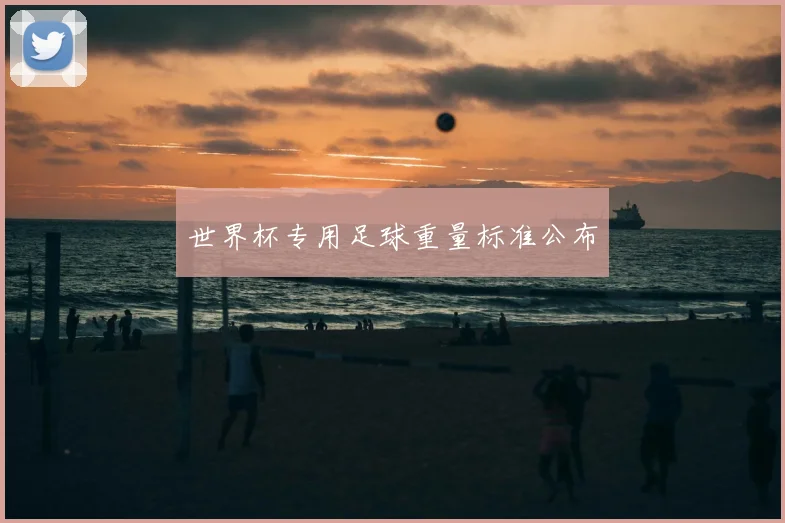 世界杯专用足球重量标准公布